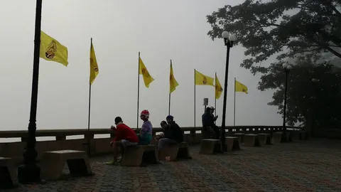 ปีใหม่นี้! เชียงรายยังฮิต แห่ชมทะเลหมอก ขึ้นภูชี้ฟ้า คาดเงินสะพัด