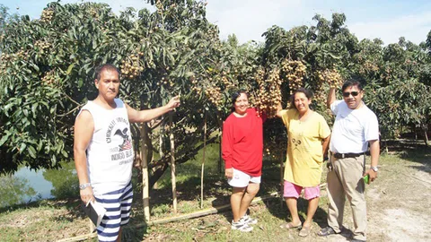 ที่แรก! สวนลำไยเมืองคอน คนแห่ชิม-เที่ยว กำไรอื้อดีกว่าปลูกยาง