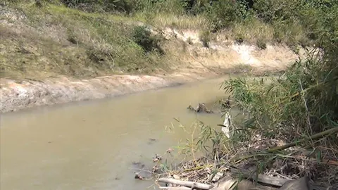 ขอหมอตรวจอีกรอบ! ญาติสงสัย‘น้องหลินปิง’ถูกฆาตกรรมอำพราง