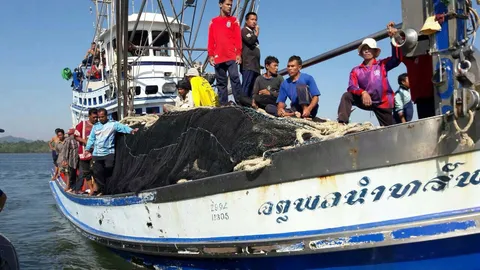 ลูกเรือประมงกระบี่ วูบพลัดตกเรือ ตำรวจน้ำเร่งค้นหาร่าง ยังไม่พบ 
