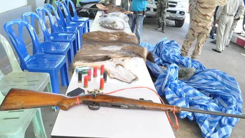 ยังล่าไม่หยุด! กระทิงป่าพะโต๊ะ เจอซากถูกยิงตาย ชำแหละเนื้อ 2 ตัว