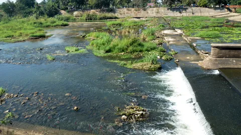 เชียงใหม่แล้ง! แม่น้ำปิงน่าห่วง-น้ำตกดอยสุเทพไหลรวยรินใกล้แห้งเหือด