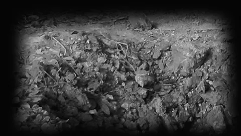 ลอบบึมทหารพราน ขณะลาดตระเวน ดับ 1 เจ็บ 2 ที่นราธิวาส 