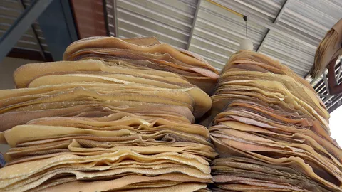 ไฟลนก้นแก้ปัญหาราคายาง รัฐงัดมุกเดิมเพิ่มปริมาณใช้ภายในประเทศ