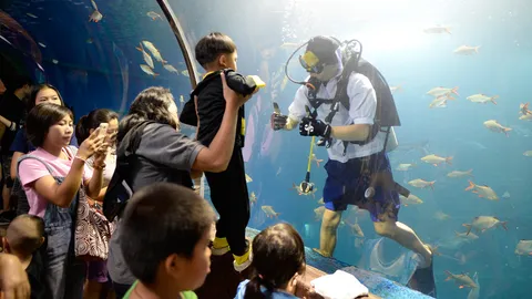 หนองคาย วันเด็กคึกคักชมนักประดาน้ำใส่ชุดนักเรียนให้อาหารปลา