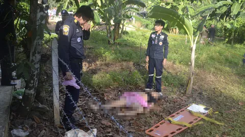 แย่งที่ดินปลูกกล้วย! เขยใหญ่ยิงเขยเล็กร่างพรุนดับคาสวนที่พัทลุง