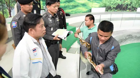 จนท. ตรวจจุดโชว์งูฉกนทท.สาวชาวจีน สั่งกำชับไม่อนุญาตให้สัมผัสสัตว์