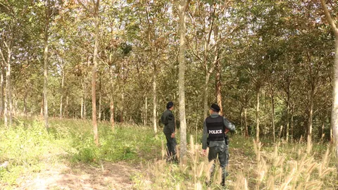 ตร.ปทส.นำกำลังตรวจสอบป่าสงวน ถูกบุกรุก 600 ไร่ ที่ อ.นาแห้ว จ.เลย