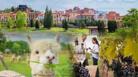 กรุงเทพฯ ร้อนอย่าได้แคร์! วิ่งตามความหนาวไปซิ่ง 7 สิ่ง 'เขาใหญ่'