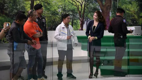 ภูเก็ตสั่งงดโชว์งู หลังฉกจมูก นทท.ชาวจีน