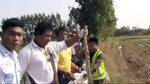 ฝูงงูเหลือม ยาวกว่า 2 ม. รวม 8 ตัว หนีแล้ง ติดตาข่าย