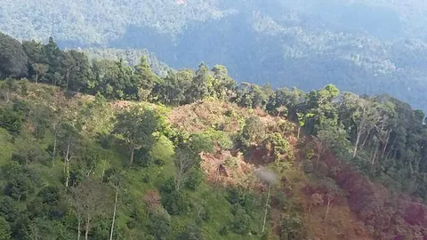 สั่งล้างบางคนตัดโค่นป่าคีรีวง-ห้วยหมอ ลั่น ต้องรักษาป่าต้นน้ำให้ได้