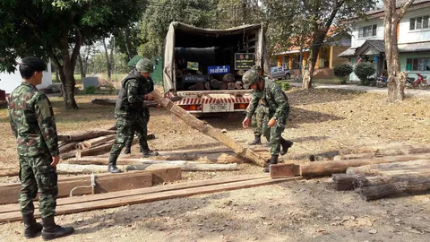 นรข.สกัดจับรถบรรทุก ซุกไม้พะยูงค่ากว่า 3 ล. รวบผัวเมียรับจ้างขน
