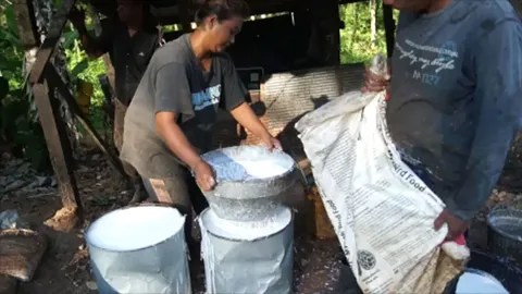 ยางพารา ตลาดกลาง 'นครศรีธรรมราช-สงขลา' ราคาขยับขึ้นต่อเนื่อง 