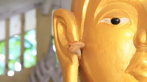 ชาวบ้านบึงกาฬ ฮือฮา เห็ดงอกออกหูหลวงพ่อตะเคียนทอง คอหวยรุมตีเลขเด็ด