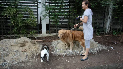 พยานสําคัญยัน 'นุ่น' วิวาทคู่กรณี