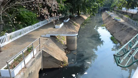 ไอเดียเครื่องปั่นแก้น้ำเสียแม่ข่า