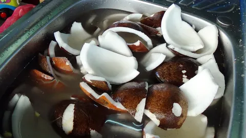 เดือดร้อน! ภัยแล้งทำมะพร้าวขาดตลาด ราคากะทิสูงที่สุดเป็นประวัติการณ์