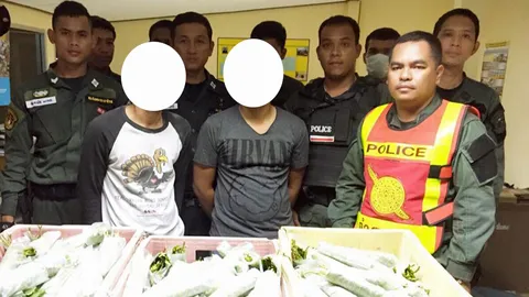 ตร.สภ.ตันหยง รวบ 2หนุ่ม ขนกระท่อมซุกคอนโซลรถ กว่า 23 กก.