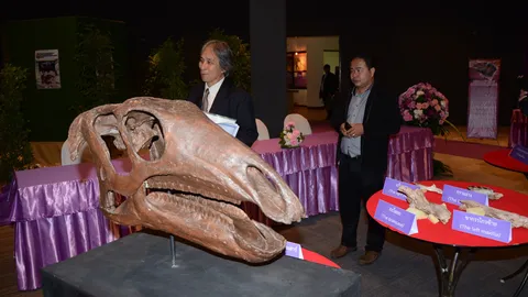 นักวิจัยไทย-ญี่ปุ่น พบไดโนเสาร์สายพันธุ์ใหม่ของโลก อายุกว่า 115 ล้านปี