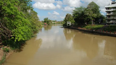 ศพชายถูกแทงยับ โยนทิ้งแม่น้ำเมืองตรัง สภาพลอยเน่าเปื่อย   