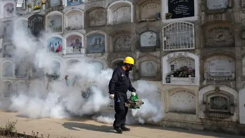 ไวรัสซิการะบาดในบราซิล ขั้นฉุกเฉิน ทารก‘ศีรษะเล็ก’เพิ่มไม่หยุด