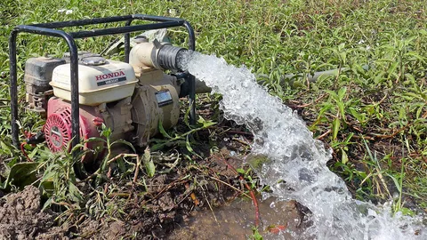 อนาคตเกษตรกับโลกร้อน