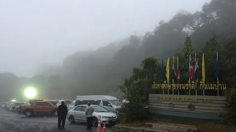 อินทนนท์ 6 องศาฯ หมอกหนา ไร้แสงอาทิตย์ พรุ่งนี้หนาวอีก 2-6 องศาฯ