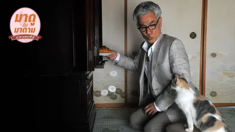 มาดูกับมาดาม: ‘Finding Calico’ ตาแก่ขี้เหงากับแมวขี้งอน