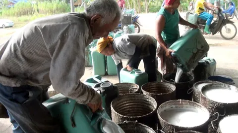 พังงา-สงขลา-สตูล เปิดจุดรับซื้อยางวันแรก-ชาวสวนรอรับเงิน ธ.ก.ส. 2 วัน