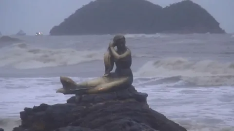 พิสูจน์แล้ว!! ยัน เงือกทองหาดสมิหลา ยังอยู่ วอนอย่าเชื่อข่าวลือ