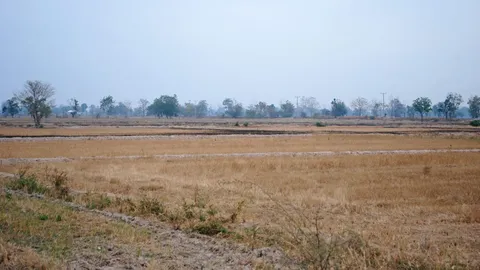 มก.เผยข้อมูลดิจิตอลสู้ภัยแล้ง