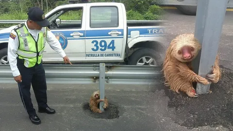 นี่สล็อตไงจำไม่ได้เหรอ? แห่แชร์ภาพเจ้าสล็อต นั่งยิ้มสโลว์ไลฟ์กอดเสา