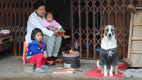 สวรรคโลกหนาว ชาวบ้านนั่งผิงไฟ ร.ร.บนดอยเต่า หยุดเรียน หวั่น นร.ป่วย