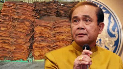 'บิ๊กตู่' ชี้เลือกทางยาก ปมแก้ยาง หวังยั่งยืน