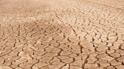 โคราชแล้งรุนแรง ผวจ. เรียกถกยิบ เร่งแจกน้ำทีละหมู่บ้าน