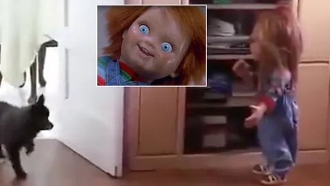 'ตุ๊กตาชัคกี้’ เจ้าตูบยังหลอน! เจอเจ้าของวางแกล้ง ถึงกับก้าวขาไม่ออก