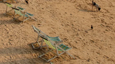 คนพัทยาเดือด! ฝรั่งถ่ายคลิปกะเทยเรียกแขก แพร่โซเชียล ชี้ทำลายภาพลักษณ์