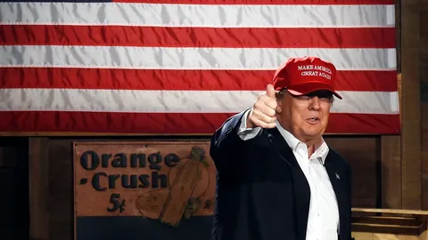 โดนัลด์ ทรัมป์ ปรามาสกรุงบรัสเซลส์ว่าเป็น 'รังหนู'