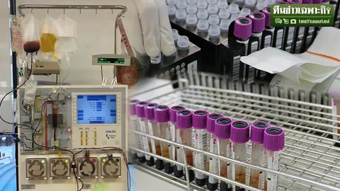 เปิดปฏิบัติการตามหาคู่แท้ ‘สเต็มเซลล์’ ช่วยชีวิต ไม่น่ากลัวอย่างที่คิด! 