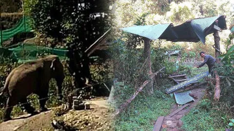 ช้างป่าบุกทำลายทรัพย์สิน ร.ร. ที่อมก๋อย ชาวบ้านผวา! พกประทัดจุดไล่