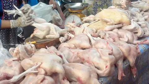 กรมการค้าภายใน ลุยตรวจสินค้าตลาดเมืองคอนช่วงตรุษจีน ส่วนใหญ่ราคาคงที่