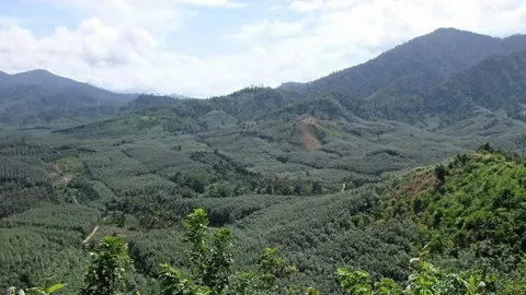 ที่ดิน ส.ป.ก.ตามหลอนข้าราชการทุจริต