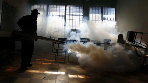 แฉไวรัส'ซิกา'อันตรายไม่เท่าไข้เลือดออก WHO ให้เทียบ'อีโบลา'