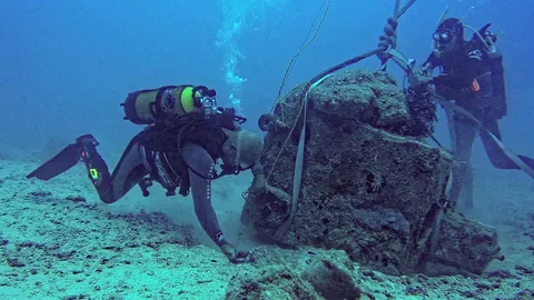 โลกาภิวัตน์ 08/02/59