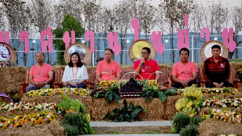 รับวาเลนไทน์ชมเบญจมาศบานในม่านหมอก