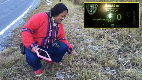 อุตุฯ ฉ.19 เหนืออุณหภูมิสูงขึ้น 2-4 องศาฯ เช้านี้ นทท.แห่ดูเหมยขาบบนดอย