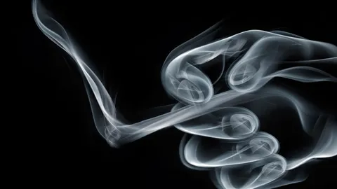 สรรพสามิต ไม่พบกักตุนบุหรี่ ผู้ค้า โอด ศก.ไม่ดี แย่หนักปรับขึ้นราคา 