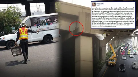 พลังโซเชียล! ลูกแมวติดตอม่อโทลล์เวย์นานกว่าสัปดาห์ ล่าสุดช่วยเหลืออย่างปลอดภัย