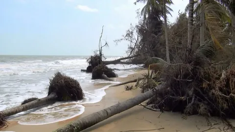 “ทวงคืนโฉนดทะเล” รวมเอกสารร้องนายกฯ